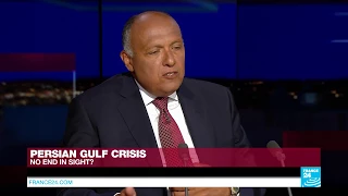 EXCLUSIVE - Egyptian FM Sameh Shoukry accuses Qatar of fomenting terrorism in Egypt