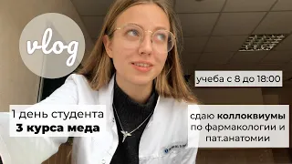 Будни студента-медика | 3 курс | фарма, патан