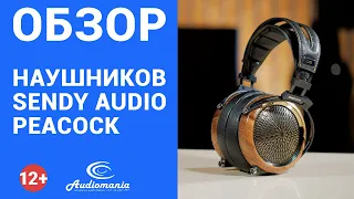 Достойная модель планарных наушников! Обзор новинки в нашем каталоге — Sendy Audio Peacock