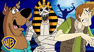 What's New, Scooby-Doo? | Mummy Scares Best 😱 | @wbkids​