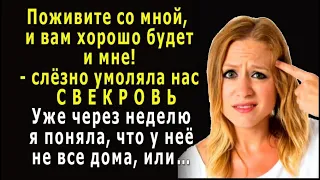 - Умоляю, живите со мной! – причитала СВЕКРОВЬ, - Через неделю я поняла, что у неё не все дома…