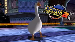 Sonic Adventure 2: Goose