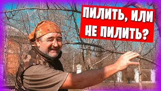 Переехали из Греции в Донецк / Устроили субботник на улице