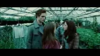 Twilight - Ten Years