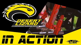 Desert Lizard Internal Spring Piggyback Dampers for RC in Action!