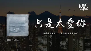 赵乃吉 - 只是太爱你 (原唱：张敬轩)「因为我不知道，下一辈子还是否能遇见你」(4k Video)【動態歌詞/pīn yīn gē cí】#赵乃吉 #只是太爱你 #张敬轩 #動態歌詞