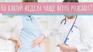 На какой неделе чаще всего рожают?