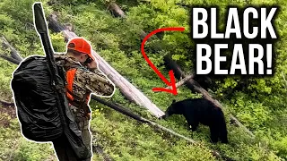 BEARS Come Out After The RAIN! | Montana Black Bear Hunting 2023 | Ep. 1 of 3