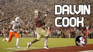 Dalvin Cook || "Nightcrawler" || Official Career Highlights