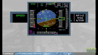 09- FMA "Flight Mode Annunciator" ( A320 Family Courses )