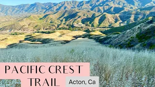 PACIFIC CREST TRAIL, Acton, CA [MOST PEACEFUL HIKE EVER!]