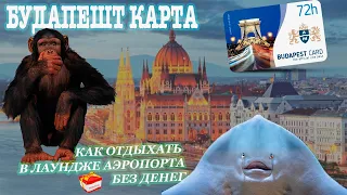 Отдых с детьми в Европе: Budapest Card Будапешт Кард или как отдохнуть по максимуму + бонус