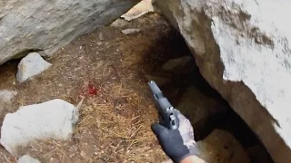 Tracking a Wounded Bear Into a Cave [Bear Hunting]