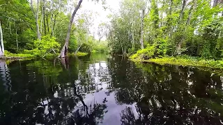 Kayaking | Silver Springs State Park | Florida 2015