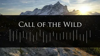 Ravenlight - Call of the Wild (Symphonic Power Metal 2020)
