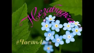 👀Новый 📹Видеоролик. На песню Незабудка. Тима Белорусских. #Часть4.