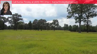 150 PR 7766, Colmesneil, TX 75938 - MLS #208009