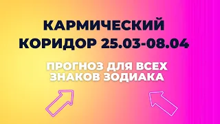 КАРМИЧЕСКИЙ КОРИДОР Март-Апрель 2024| Подсказка для Всех Знаков Зодиака #гороскоп #таропрогноз