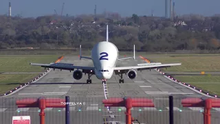 Airbus Beluga Crosswind Landing and Takeoff