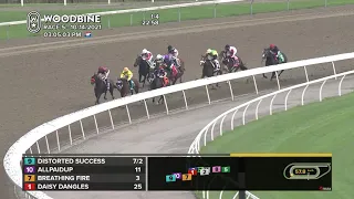 Woodbine, Tbred, October 14, 2021 Race 5