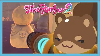 САМЫЕ ХИТРЫЕ СЛАЙМЫ / Эп. 4 / Slime Rancher 2