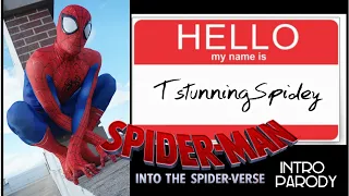 Only One "Stunning" Spider-Man (Into The Spider-Verse Intro Parody)