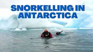 Snorkel at the End of the Earth | Antarctica with Tyson Mayr