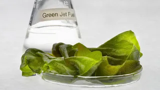 Algae fuel | Wikipedia audio article