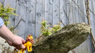 Lion king toys Simba forgot how to Roar on top of Cave Rock #shorts #lionking