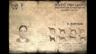 Лекция 9. Борзые. (Курсы экспертов-кинологов МООиР 2016)