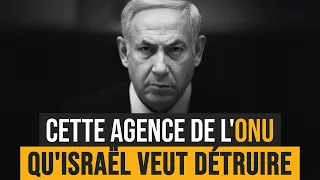 Cette agence de l'ONU qu'Israël veut détruire