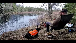 Solo canoe day trip with my dog.