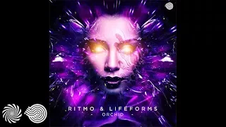 Ritmo & Lifeforms - Orchid