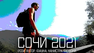 СОЧИ 2021: РОЗА ХУТОР. ФАУНА. КАНИСТРА ФЕНЮКА  | 🎥 VLOG #Сочи #краснодар #розахутор