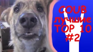 Лучшие приколы #2 в coub by -[TipoOK]-