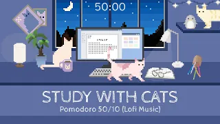 Study with Cats 🌙 Pomodoro Timer 50/10 | Late night study session with cats & very calm lofi bgm🎧