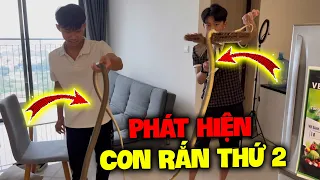 Vlog | Quý11N Không Thể Tin Con Rắn Thứ 2 Xuất Hiện Trong Phòng Team Quý Mõm