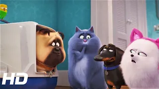The Secret Life of Pets 2: How to be a cat