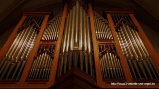 Trompete und Orgel - Händel, We praise thee O God aus dem Dettinger Te Deum