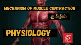 MECHANISM OF MUSCLE CONTRACTION IN TAMIL-PHYSIOLOGY