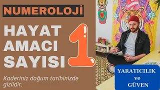 Hayat Amacı Sayısı "1"    Numeroloji, Hayat Amacınız Doğum Tarihinizde Gizlidir/ Dan Millman