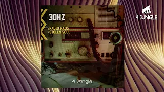 30HZ - STOLEN SOUL