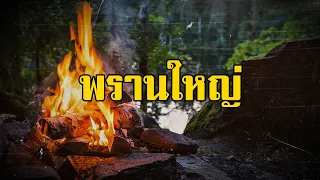 พรานใหญ่ (ทุ่งโล่งและดงทึบ) | สองยาม