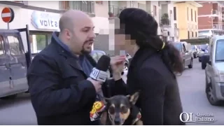 Bari, follia a San Pasquale: raschia le auto e spalma cacca di cane