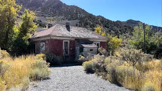 Old abandoned miners home with a larder room full of canned food