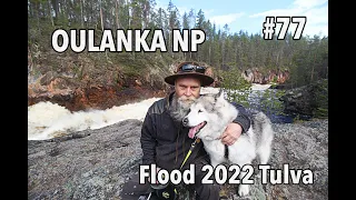 Kiutaköngäs. Oulanka National Park. Kuusamo 2022 Tulva