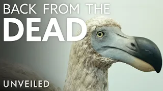 Return of the Dodo | How Science Is Bringing Ancient Animals Back To Life | Unveiled