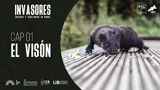 Invasores - Cap. 1: El Visón