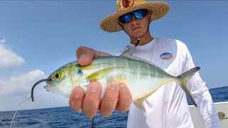 Using BIG BAITS to Catch Dinner! Catch Clean Cook (Amberjack)