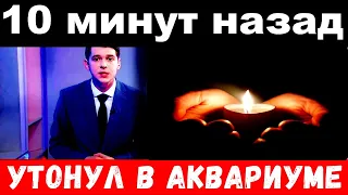 10 минут назад / утонул в аквариуме./ Чп в мире шоу бизнеса .